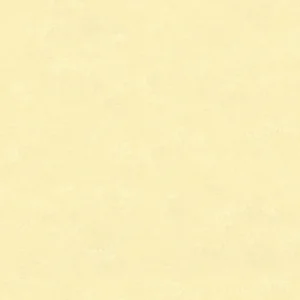 30128 - Bombay