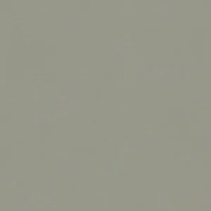 30133 - Bombay