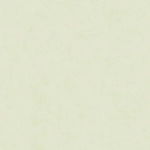 32423 - Shades