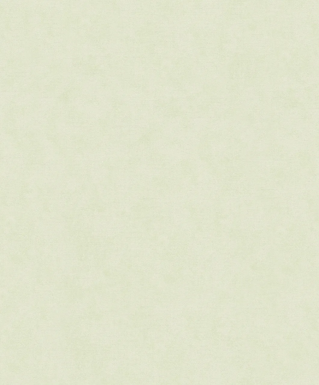 32423 - Shades