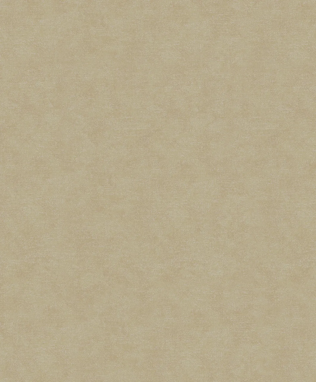 32425 - Shades