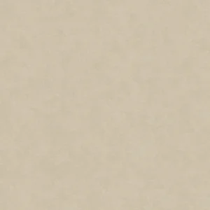 32427 - Shades