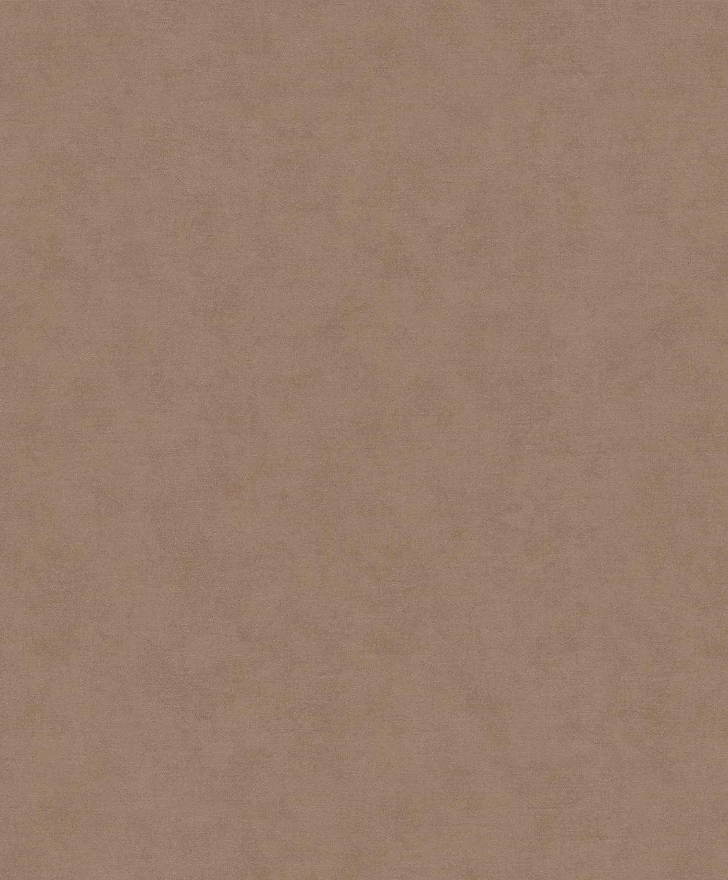 32431 - Shades