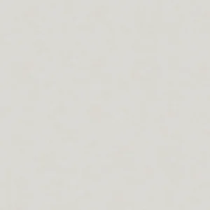 32419 - Shades