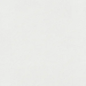 32501 - Dune