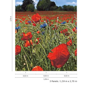 47273 - Smart Art Easy Mural