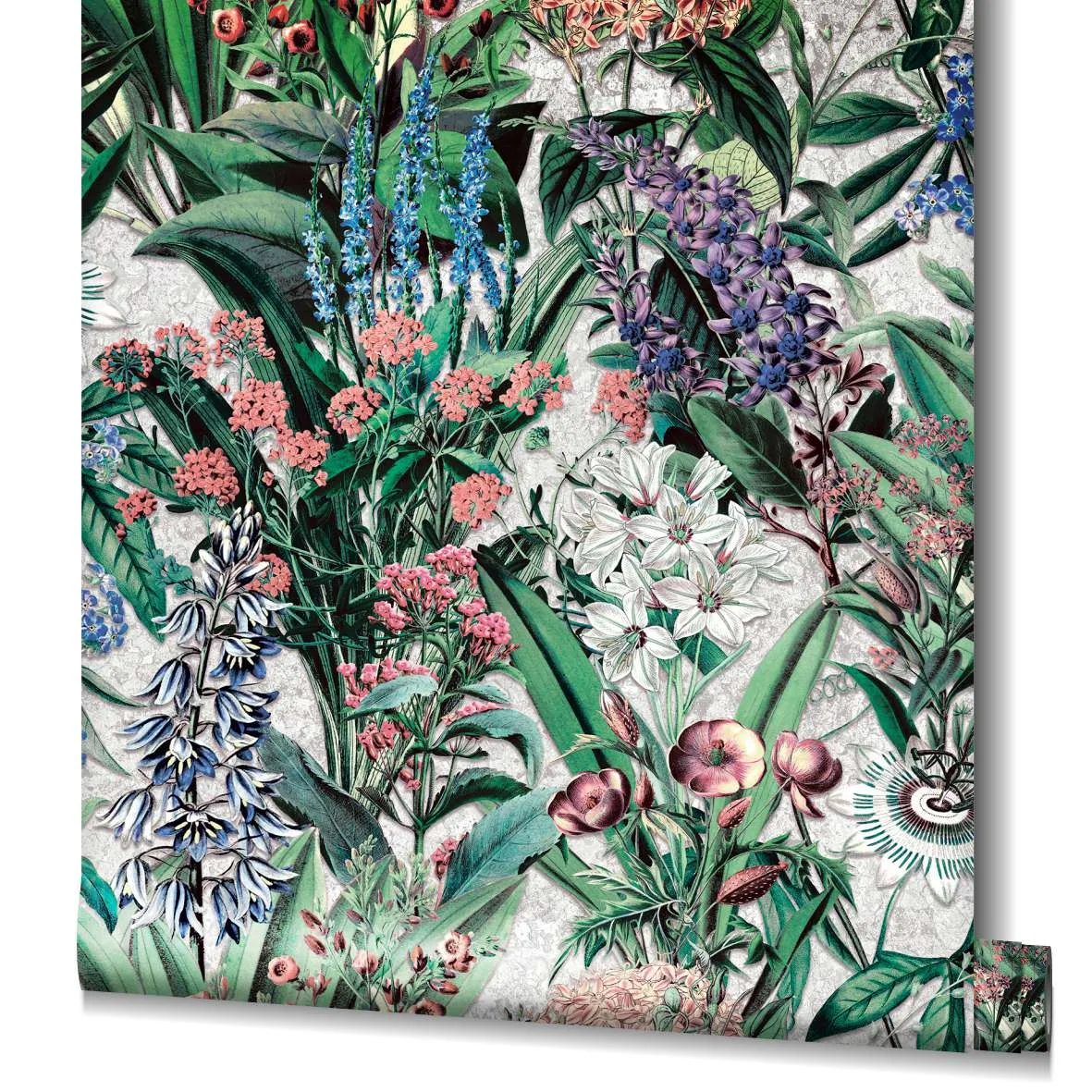 47477 - Flora - Imagen 4