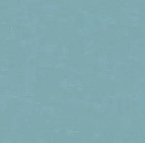 30154 - Bombay