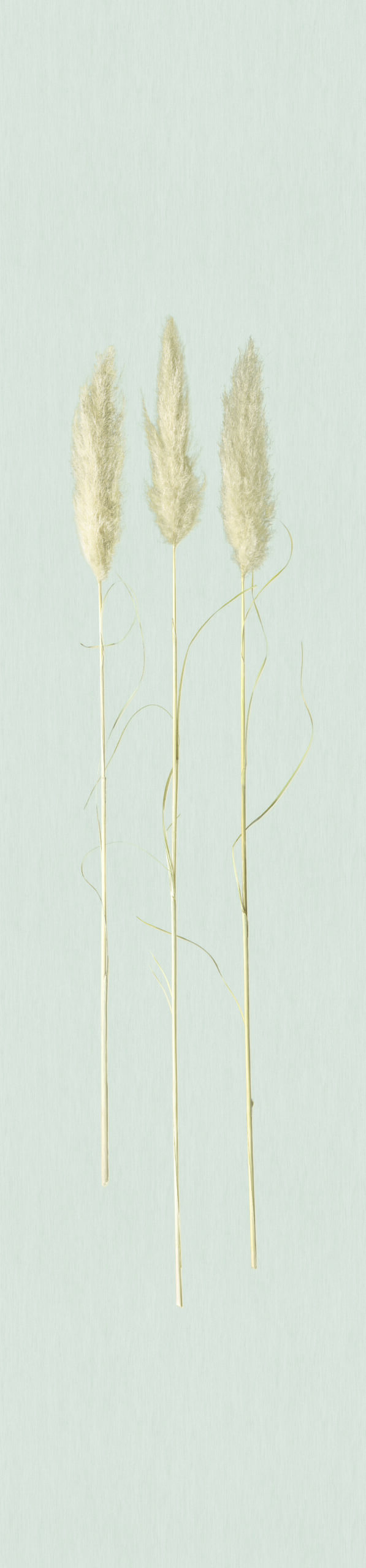 33270 - Natural Opulence Fototapete